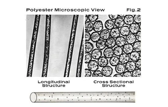 Polyester fibers under a microscope: smooth straight rods lengthwise and round solid cross-sections